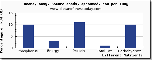 chart to show highest phosphorus in navy beans per 100g